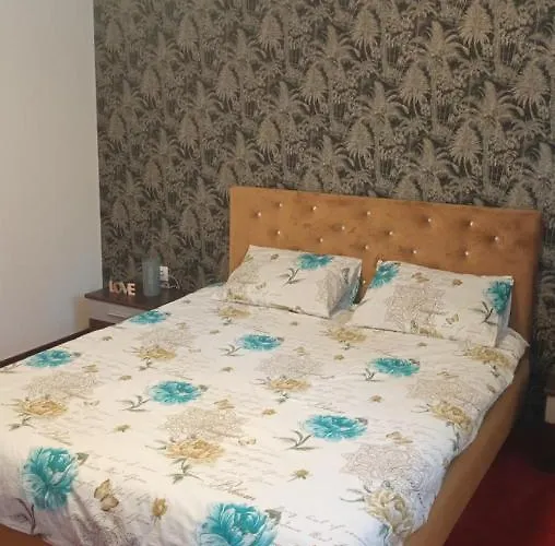 Karina House * Μπρασόβ